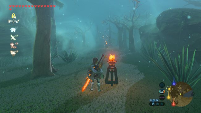 The Legend of Zelda: Breath of the Wild의 Lost Woods에 불이 켜진 등불을 따라