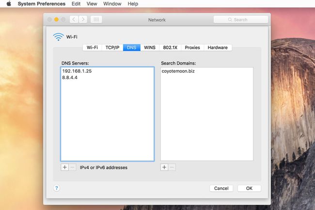 جزء تفضيلات شبكة OS X حيث يتم تخزين إدخالات DNS ، لقطة شاشة