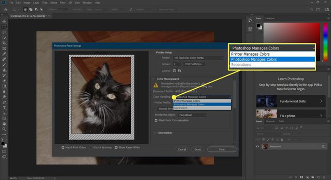 Snímek obrazovky okna Print Photoshopu se zvýrazněnými možnostmi Color Handling