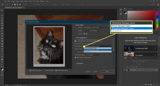 Tangkapan layar jendela Print Photoshop dengan opsi Penanganan Warna disorot