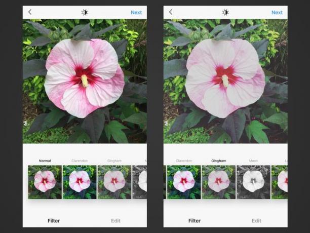 Dua tangkapan layar Instagram untuk iOS