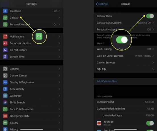 セルラーおよびセルラーデータオプションを示すiPhoneのスクリーンショット