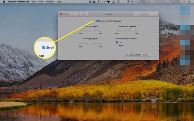 「スクロール方向：ナチュラル」の横のボックスが強調表示されたMacのマウス設定
