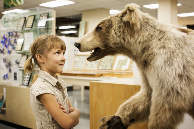 Aluno olhando para um urso taxidermia em uma biblioteca ou museu