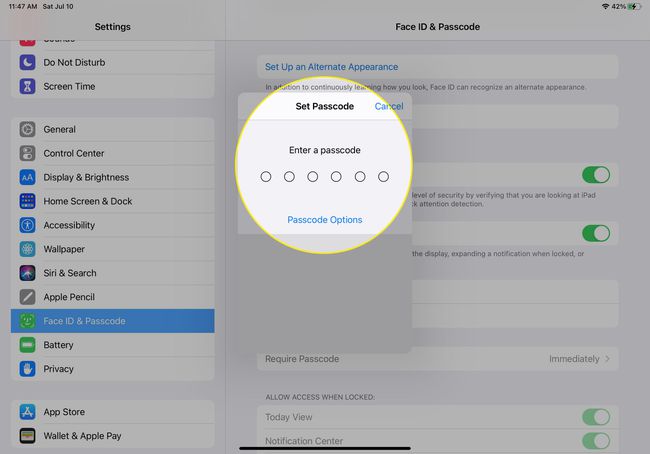 Nastavení iPad Face ID & Passcode se zvýrazněným polem pro zadání hesla