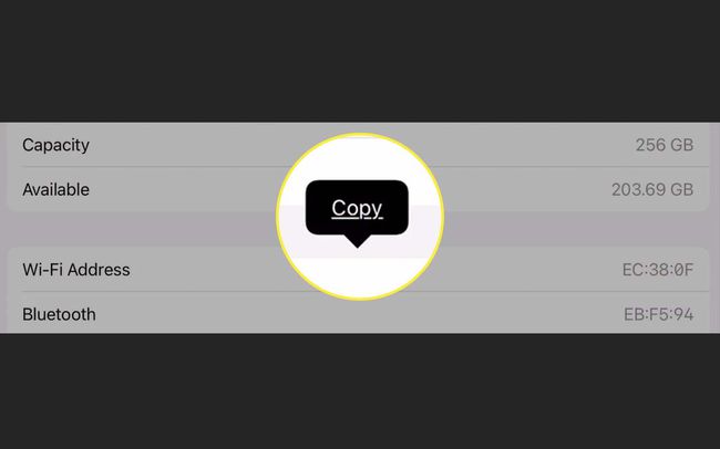 انقر مع الاستمرار فوق عنوان Wi-Fi وانقر فوق نسخ لنسخ عنوان Mac الخاص بجهاز iPad.