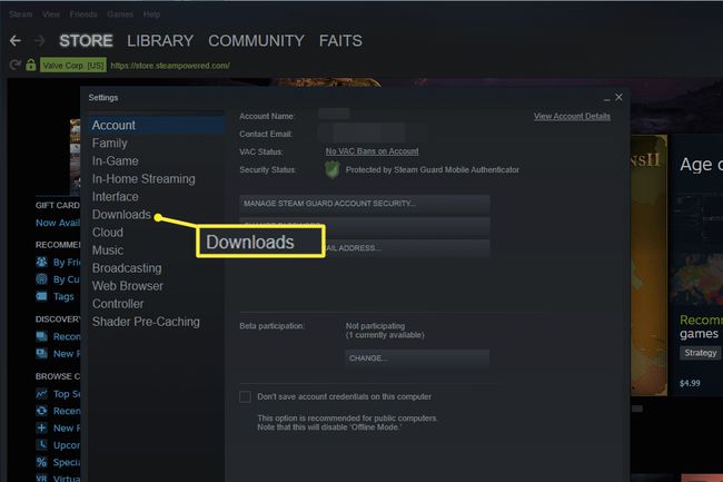 Downloads do Steam