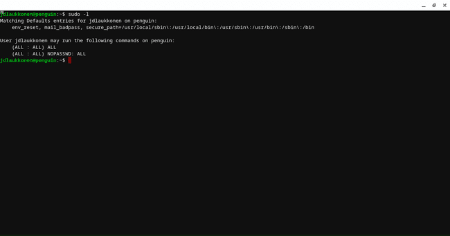 Posnetek zaslona ukaza sudo -l.