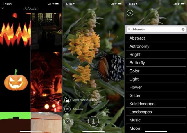 Las capturas de pantalla de la aplicación Live Wallpapers & Background by Space-O Digicom resaltan la configuración y los temas de Halloween