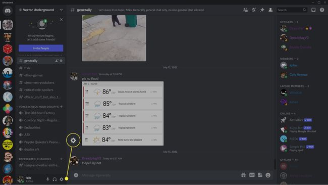 Pictograma roată evidențiată în partea din stânga jos a Discord.