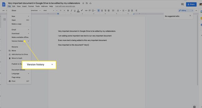 Google Doc พร้อมไฮไลต์ประวัติเวอร์ชัน