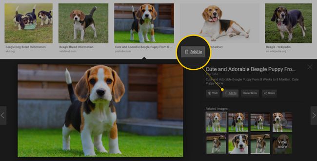 Botón " Agregar a" en Google Imágenes en la Web