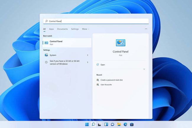 Windows 11'de Denetim Masası arama sonuçları