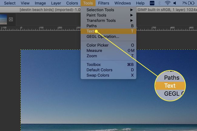 Ein Screenshot von GIMP mit der Option Text im Menü Extras hervorgehoben