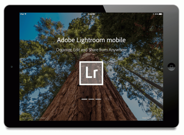 Adobe Lightroom для мобильных устройств на iPad