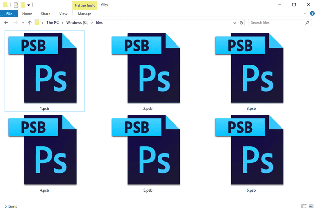 Verschillende PSB-bestanden gebruikt door Photoshop in Windows 10