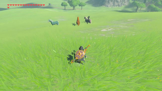 Hiipiminen hevosten selkään Zelda: Breath of the Wild -elokuvassa