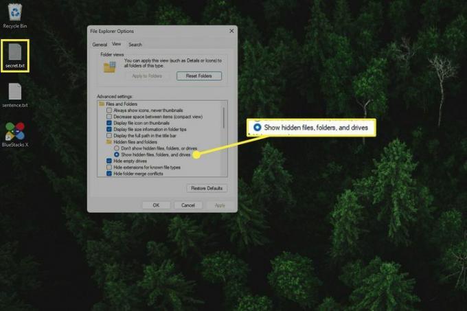 Filutforsker Vis skjulte filer-alternativet uthevet for Windows 11.