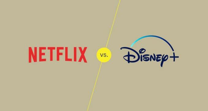 Netflix vs ディズニープラス