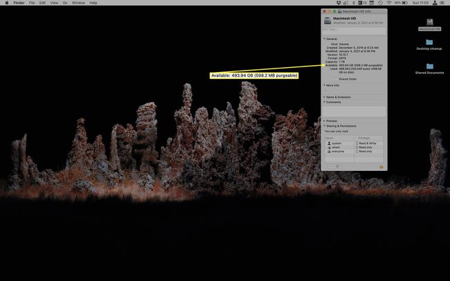 ハードドライブ用の情報取得ウィンドウを備えたMacデスクトップ。