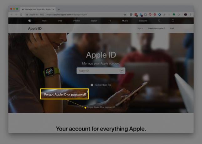 ลืม Apple ID หรือรหัสผ่าน? ลิงค์บนหน้าเว็บ Apple ID