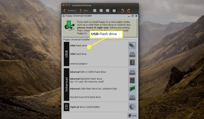 Убедитесь, что USB-накопитель, на который вы хотите установить Puppy Linux, подключен, и выберите USB-накопитель.