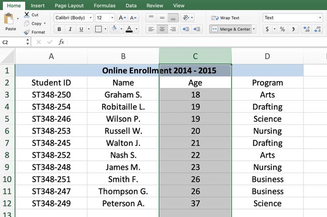 Screenshot von Excel, der zeigt, wie eine ganze Spalte ausgewählt wird