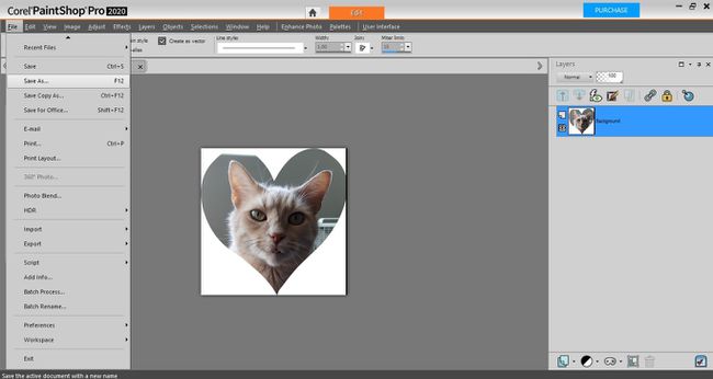 PaintShop Pro'da kalp şeklinde bir kedi kesimi