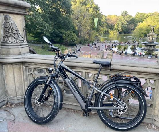 RadCity 6 Plus eBikeは、公園のコンクリートの壁にもたれかかっていました。 