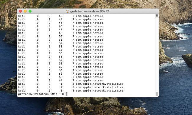 تقرير netstat مطول في نافذة طرفية