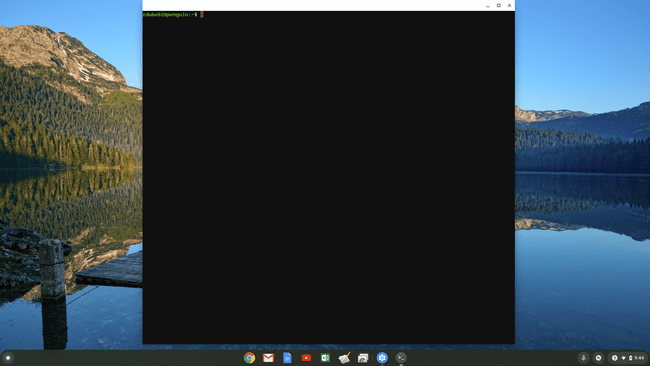 Skærmbillede af Linux-terminal på Chromebook