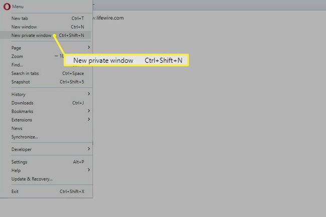 Nueva ventana privada en Opera para Windows