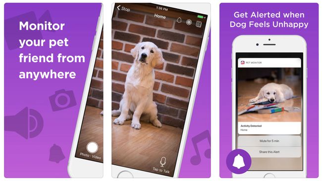 Trīs reklāmas ekrāni no Pet Monitor VIGI lietotnes iOS