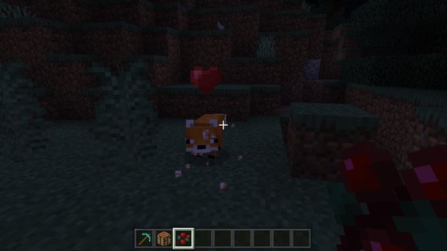 O vulpe îmblânzită în Minecraft