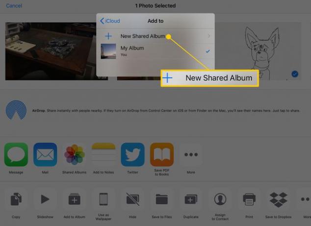 إنشاء ألبوم مشترك جديد على iPad