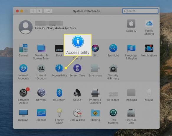 macOS 시스템 환경설정의 손쉬운 사용 옵션 아이콘