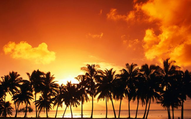 Fondo de pantalla de playa gratuito con puesta de sol naranja con palmeras sobre una playa