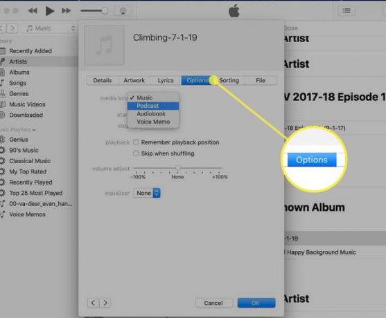 [オプション]タブが強調表示されたiTunesのファイル