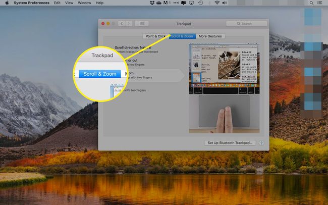 スクロールとズームタブが強調表示されたmacOSのトラックパッド設定