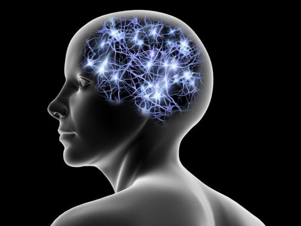 뇌의 신경 경로가 강조 표시된 인간 흉상의 그림.