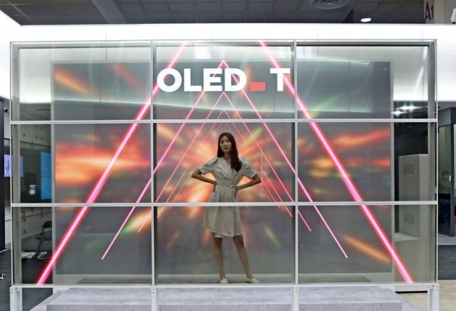 LG გამჭვირვალე OLED