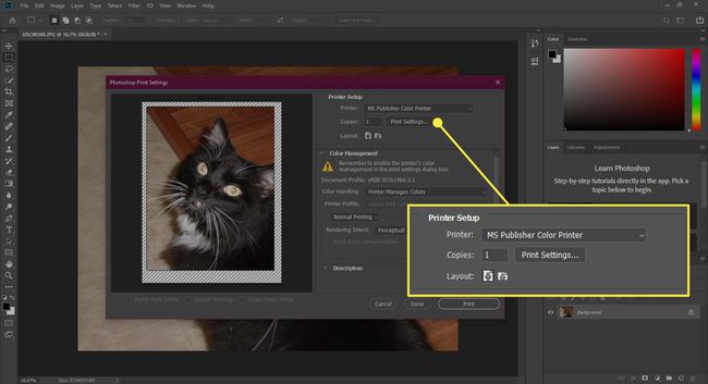Posnetek zaslona okna Print v Photoshopu z označenim razdelkom Printer Setup