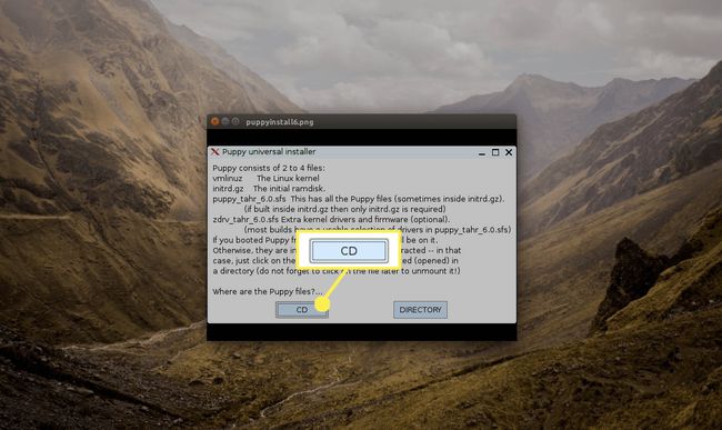 Файлы, необходимые для загрузки Puppy, будут на компакт-диске. Нажмите CD.
