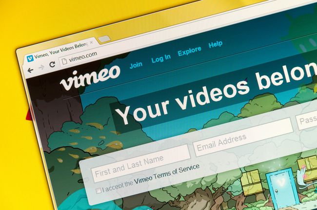 Web Vimeo na žlutém pozadí