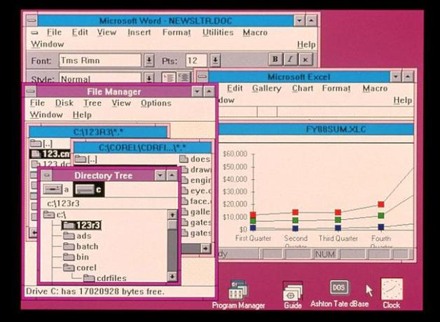 Windows 3.0, Word ja Excel näyttökaappaus