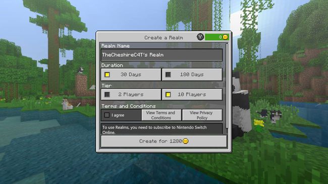 Çok oyunculu oyunlar için Minecraft Realm Creation Ekran Görüntüsü