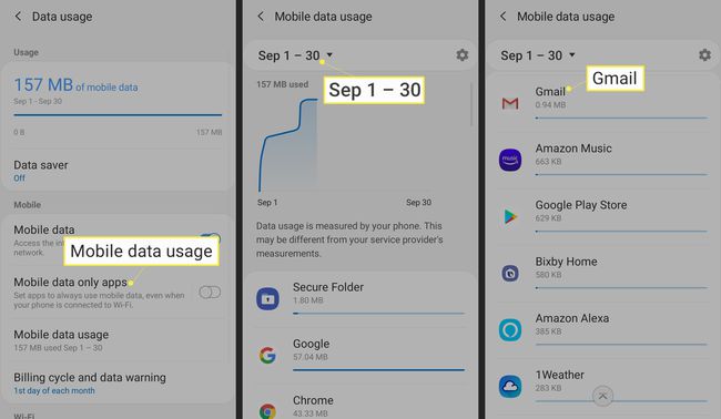 Atingeți Utilizarea datelor mobile, atingeți data și atingeți orice aplicație pentru a vedea câte date utilizează.