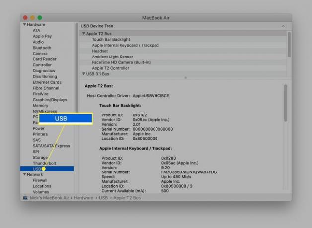 MacBookのシステム情報でUSBが強調表示されています。