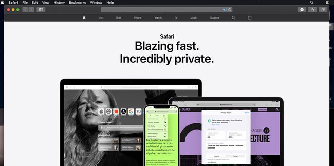Página web de Safari en el navegador Safari