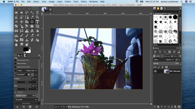Скриншот фоторедактора GIMP на macOS.